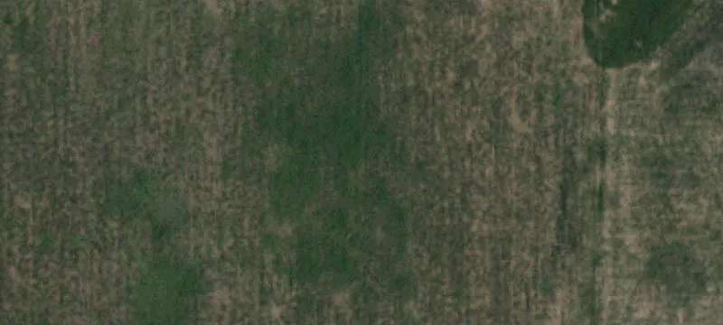 Tulia, TX 79088