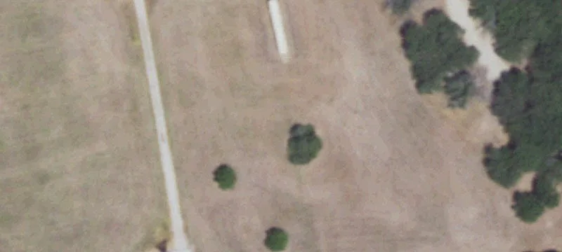 13016 State Hwy 31