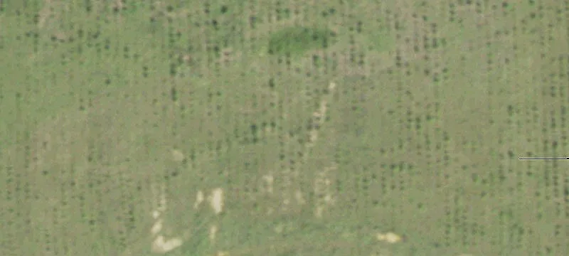 7811 Fm 2658th N