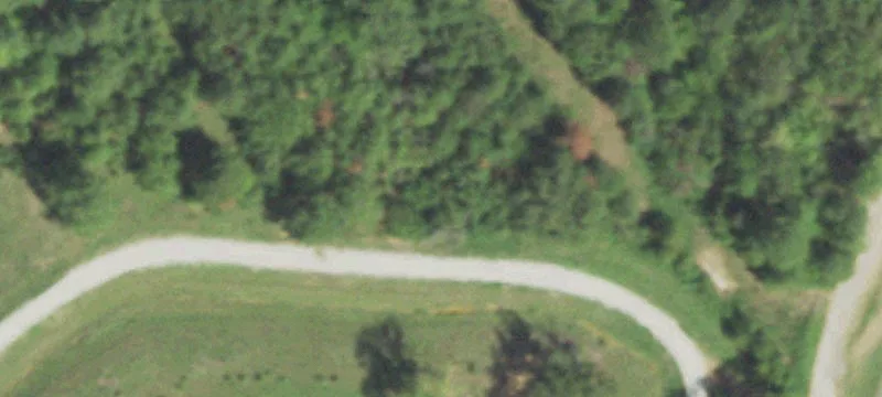 6401 Fm 2658th N