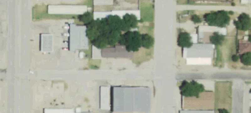 125 College St