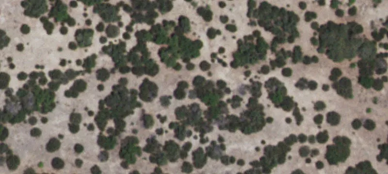 Junction, TX 76849