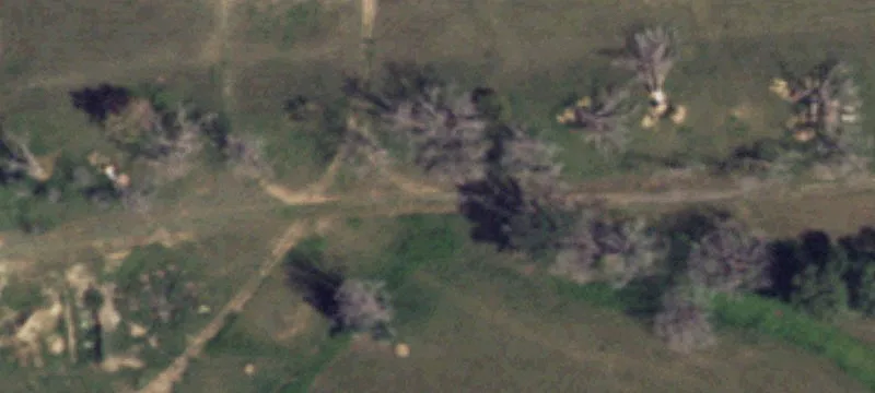 Bovina, TX 79009
