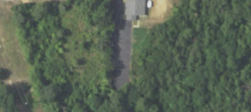 8542 State Hwy 31st E