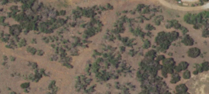14474 State Hwy 16