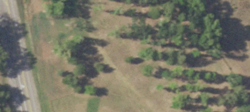 17650 State Hwy 19