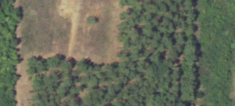 14478 Fm 2868