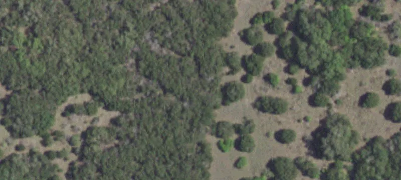 706 Houston Clinton Dr