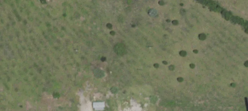 13320 Us Hwy 290th E