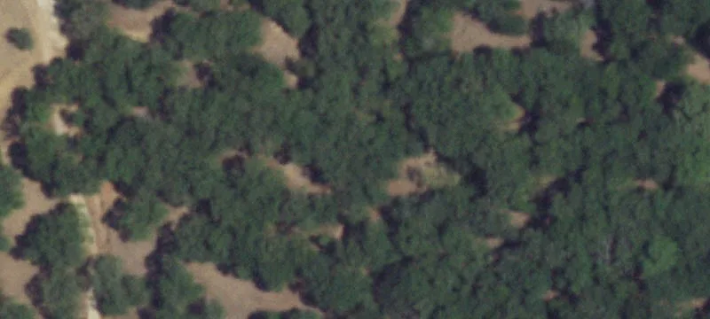 151 Fm 1304