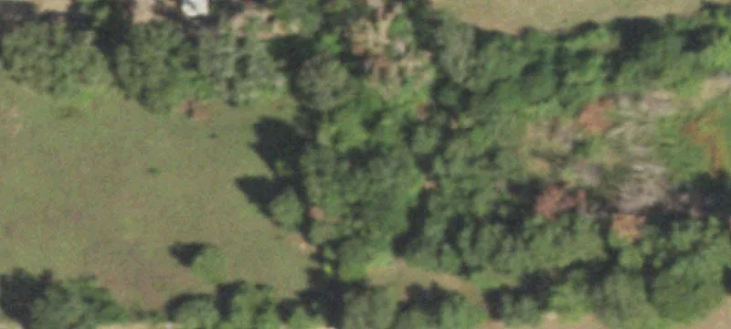 12544 Us Hwy 287th N