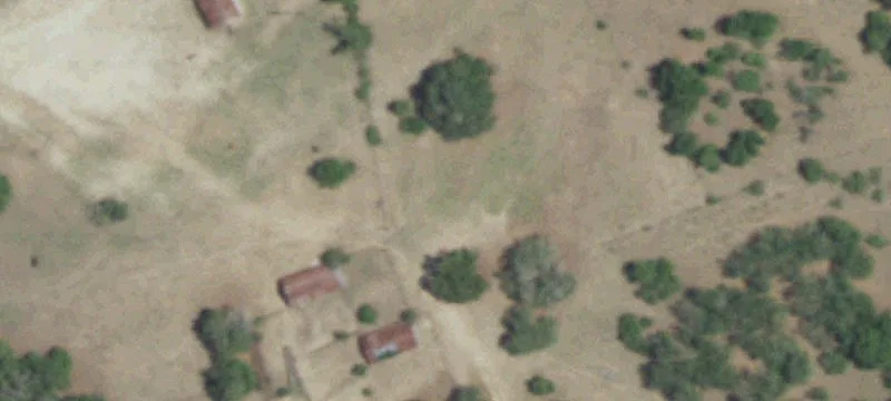 1248 County Road 4390