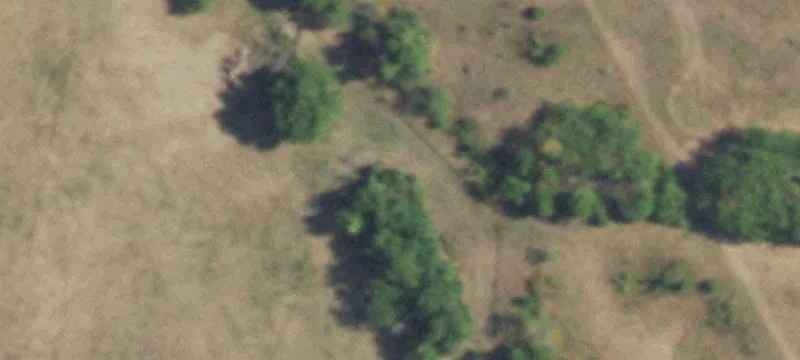 Wills Point, TX 75169