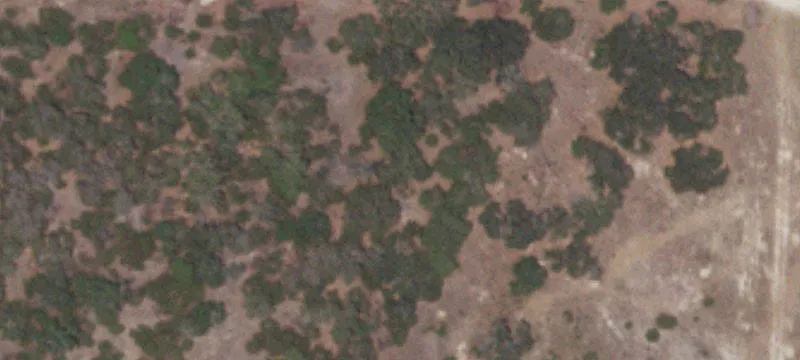 8679 Us Hwy 290