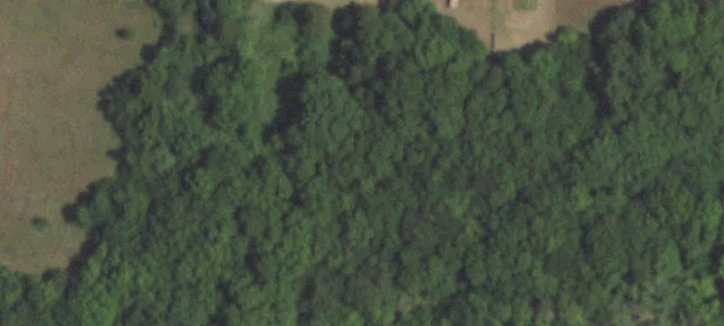 13146 Fm 372
