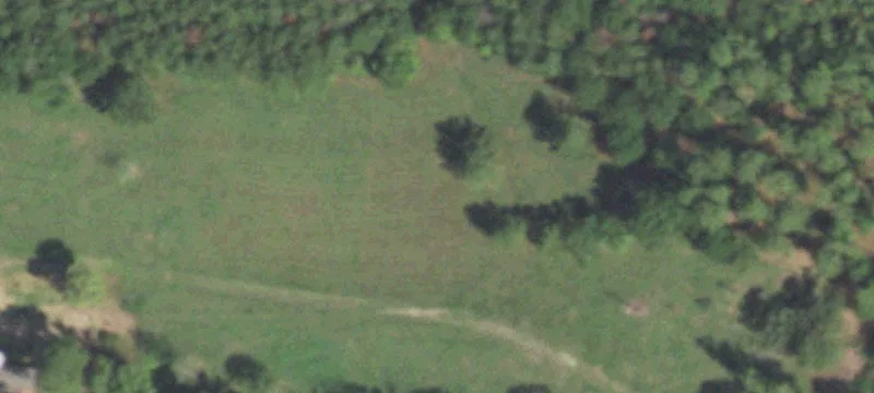 372 Fm 247 Rd