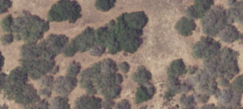 4109 Fm 1784