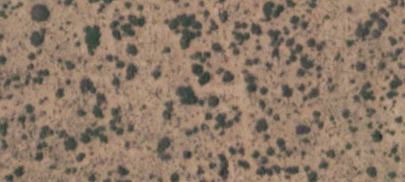 Clint, TX 79836