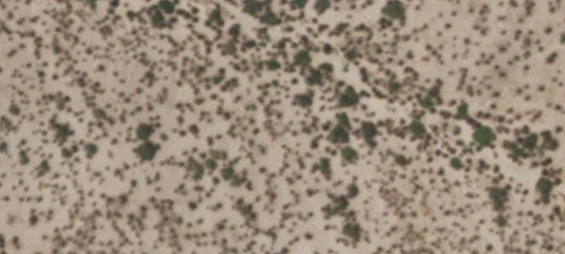 Tornillo, TX 79853