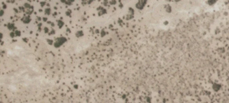 Tornillo, TX 79853