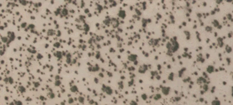 Tornillo, TX 79853
