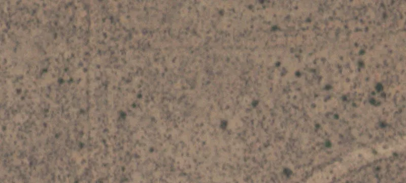 Clint, TX 79836