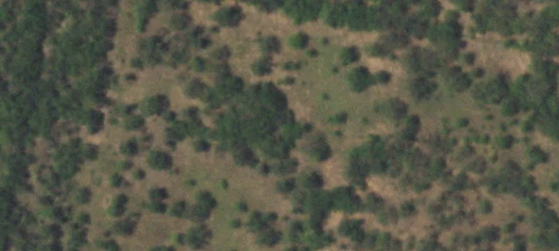 Edinburg, TX 78542