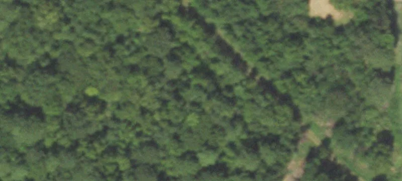Sh 42