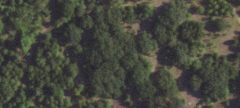 3500 Fox Fire Ln