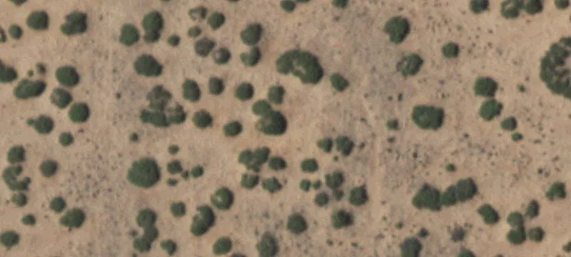 Socorro, TX 79928