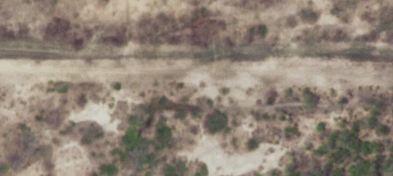 Christine, TX 78012