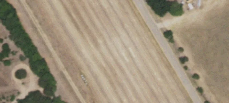 Willie Young Rd