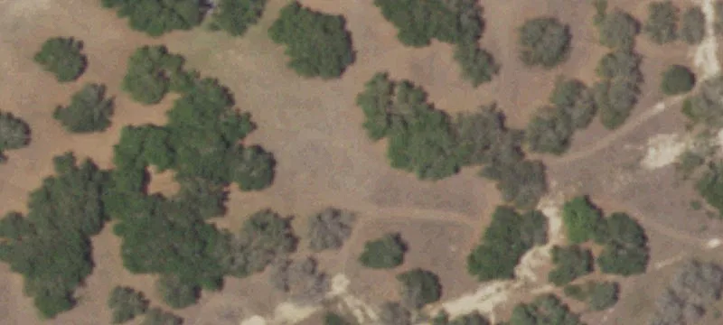 10257 Us Hwy 290