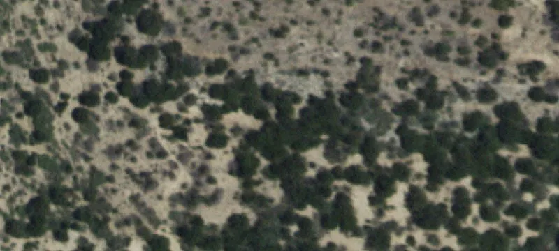 Tuscola, TX 79562