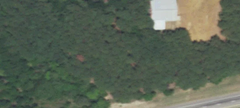 10503 State Hwy 31st E