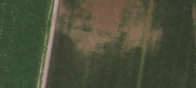 Edcouch, TX 78538