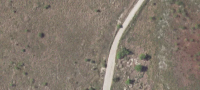 Alamo, TX 78516