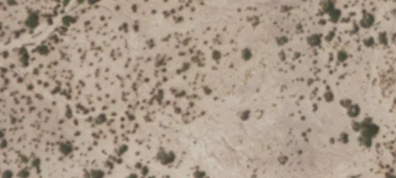 Tornillo, TX 79853