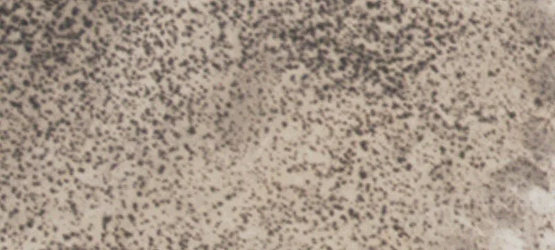 Sierra Blanca, TX 79851