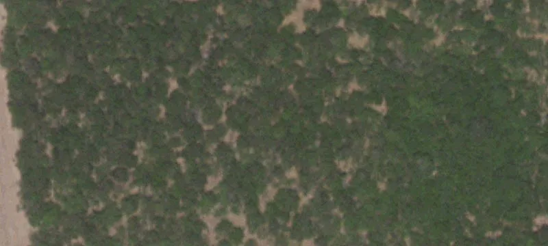 Waelder, TX 78959