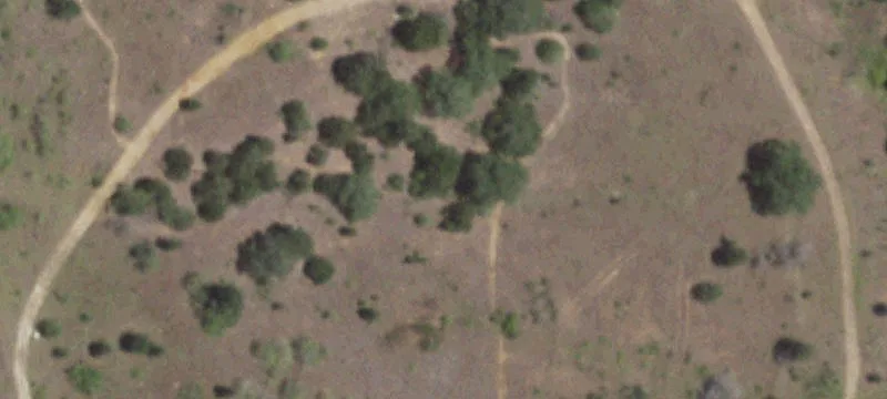 Gonzales County Rd 444