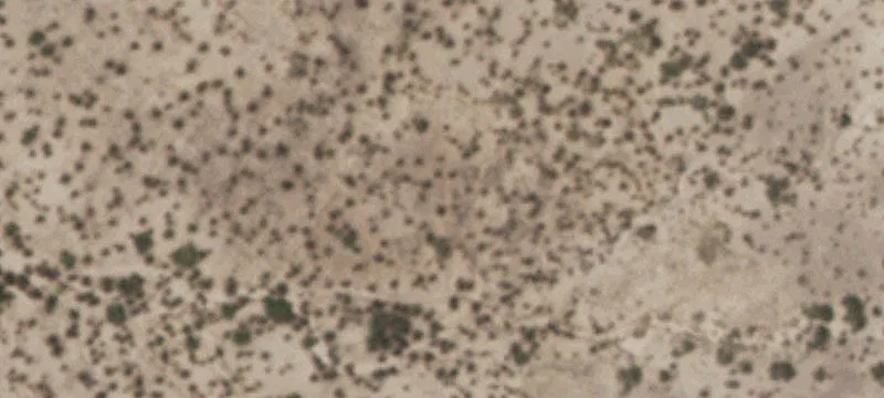 Tornillo, TX 79853