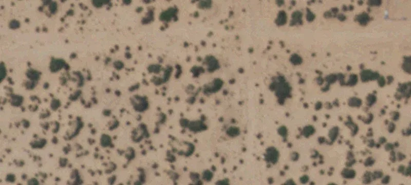 Clint, TX 79836