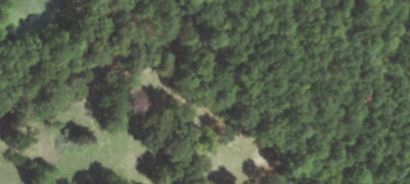 Counts Rd