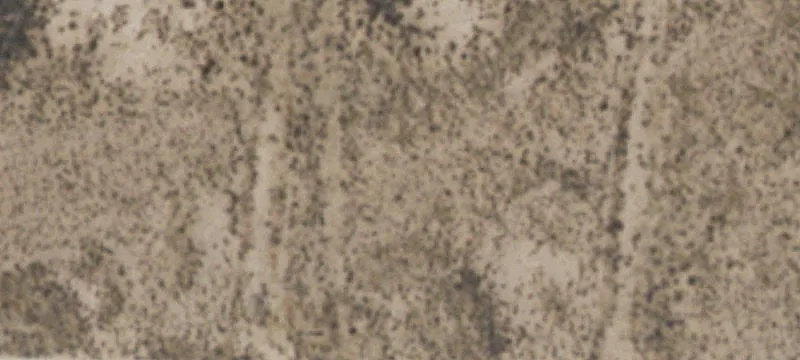 Clint, TX 79836