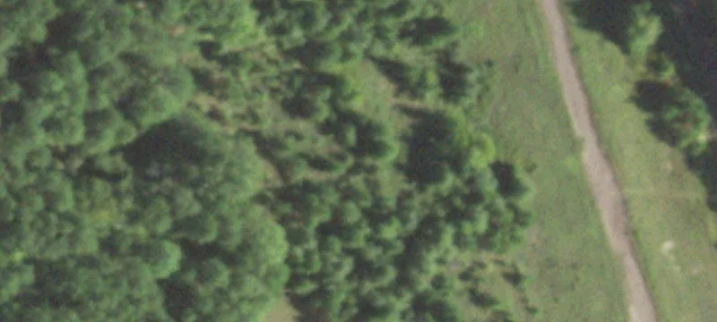 Mound Pond Rd