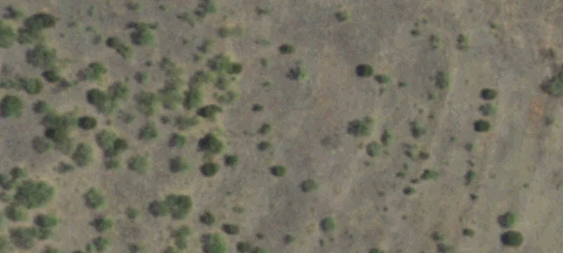 Bull Wagon Rd