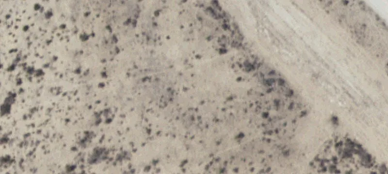 Ozona, TX 76943