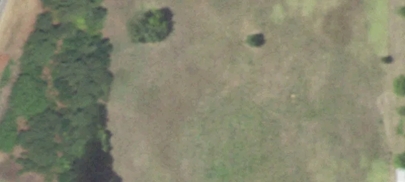 8231 State Hwy 155