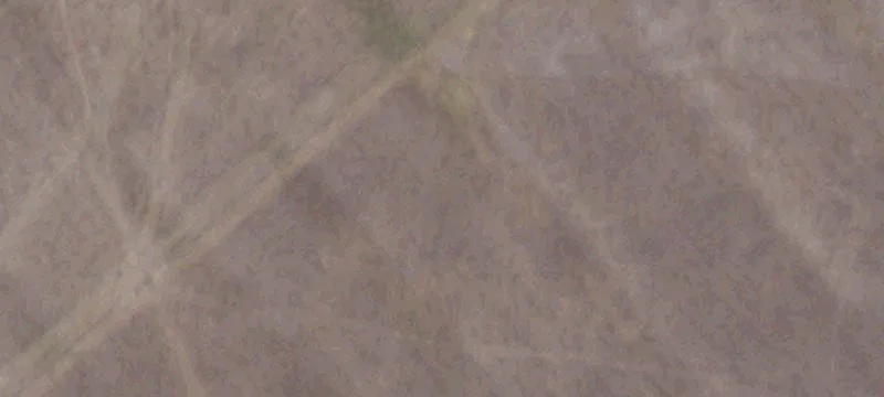 99 Cr